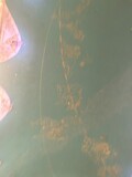 ./NY08052023141057